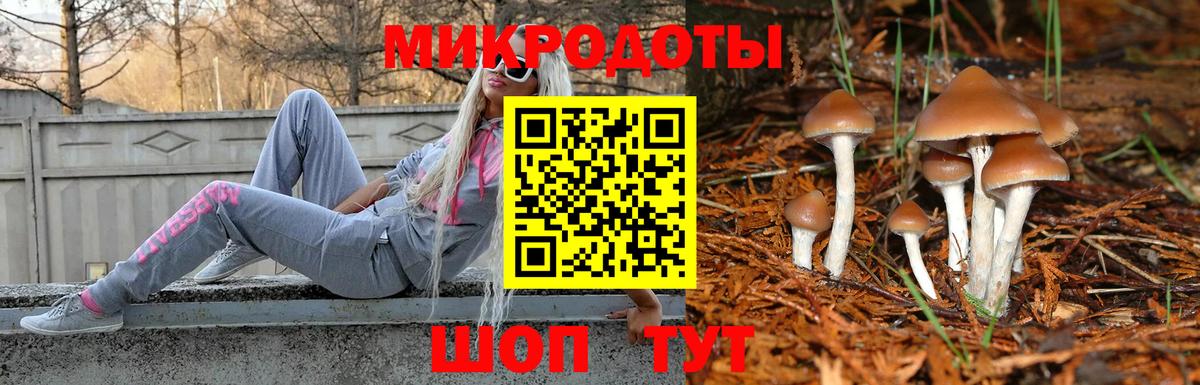 Краснокаменск  Галлюциногенные грибы мухоморы  Вход с VPN 